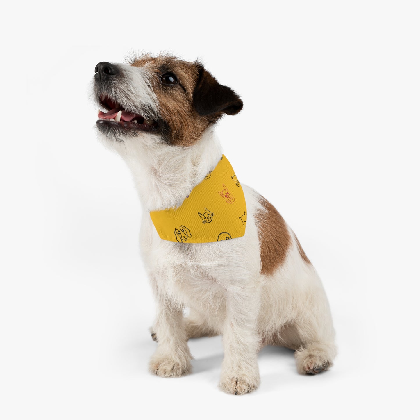 Love Pets Bandana Collar